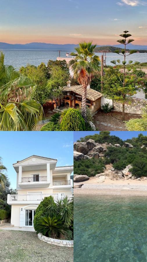 Villa Sul Mare Chalkida Exterior foto